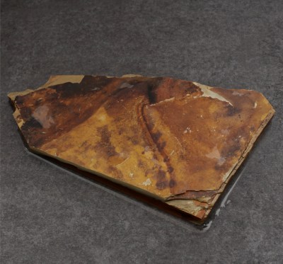 Nakayama-TT-250306-5