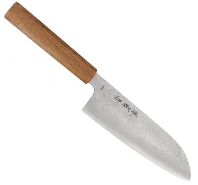 TS-10-SA