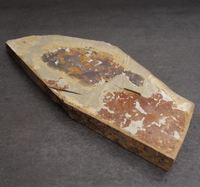 nakayama-TT-250306-11-2