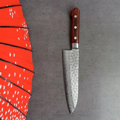 Santoku_504f125197717.jpg