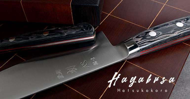 Hayabusa
